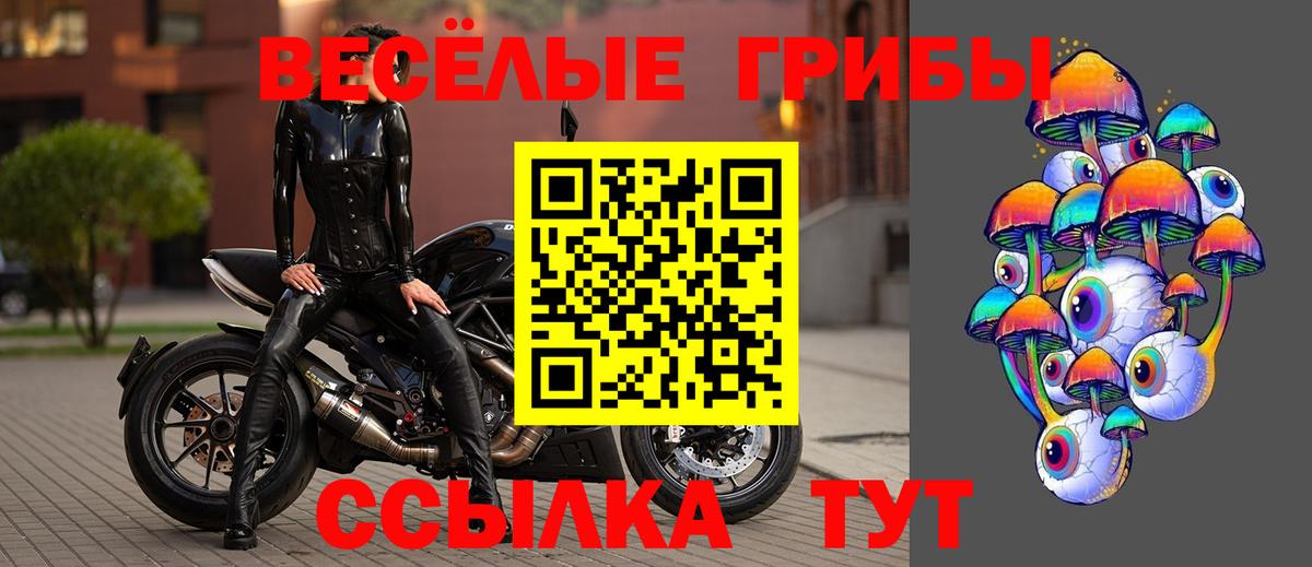 Псилоцибиновые грибы Psilocybine cubensis  Вход с VPN  Фрязино 